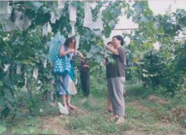 ����԰��������