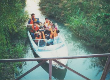 С��������«έ����